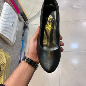 پاشنه دار مداد رنگی